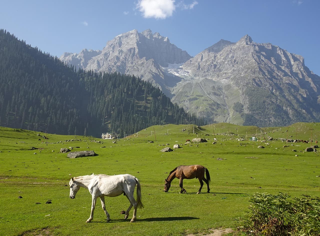 Sonamarg