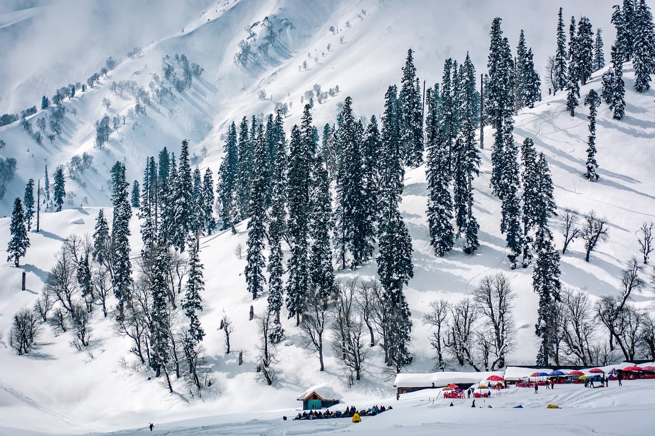 Winter Special Kashmir Package - 4N5D