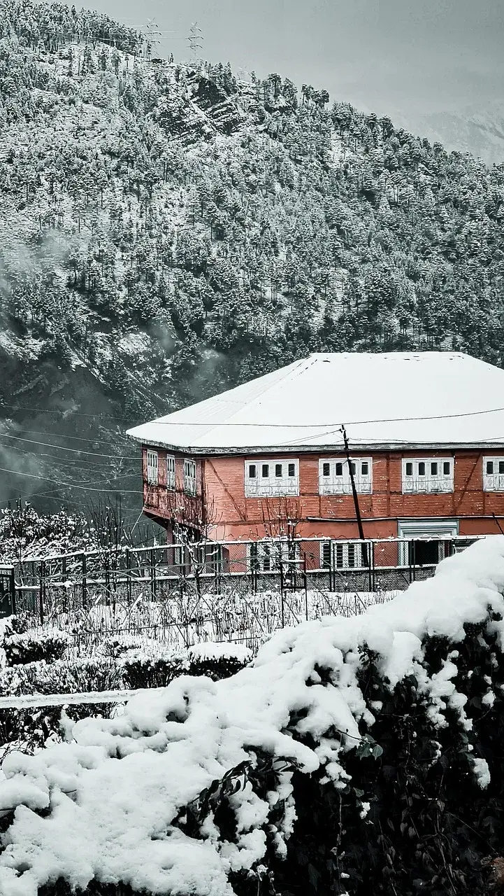 Snow on a red-walled house and the pine forest above it at Patnitop after a winter snowfall