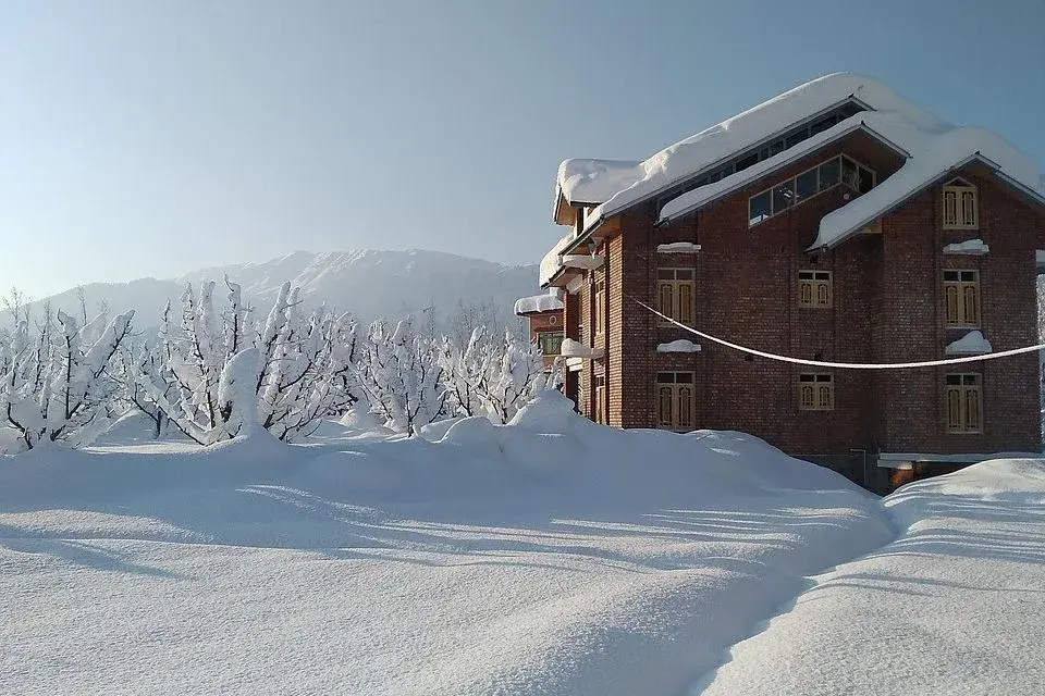 Deep fresh snow around a brick house and snow-laden orchard trees in the Kashmir Valley after a heavy winter snowfall