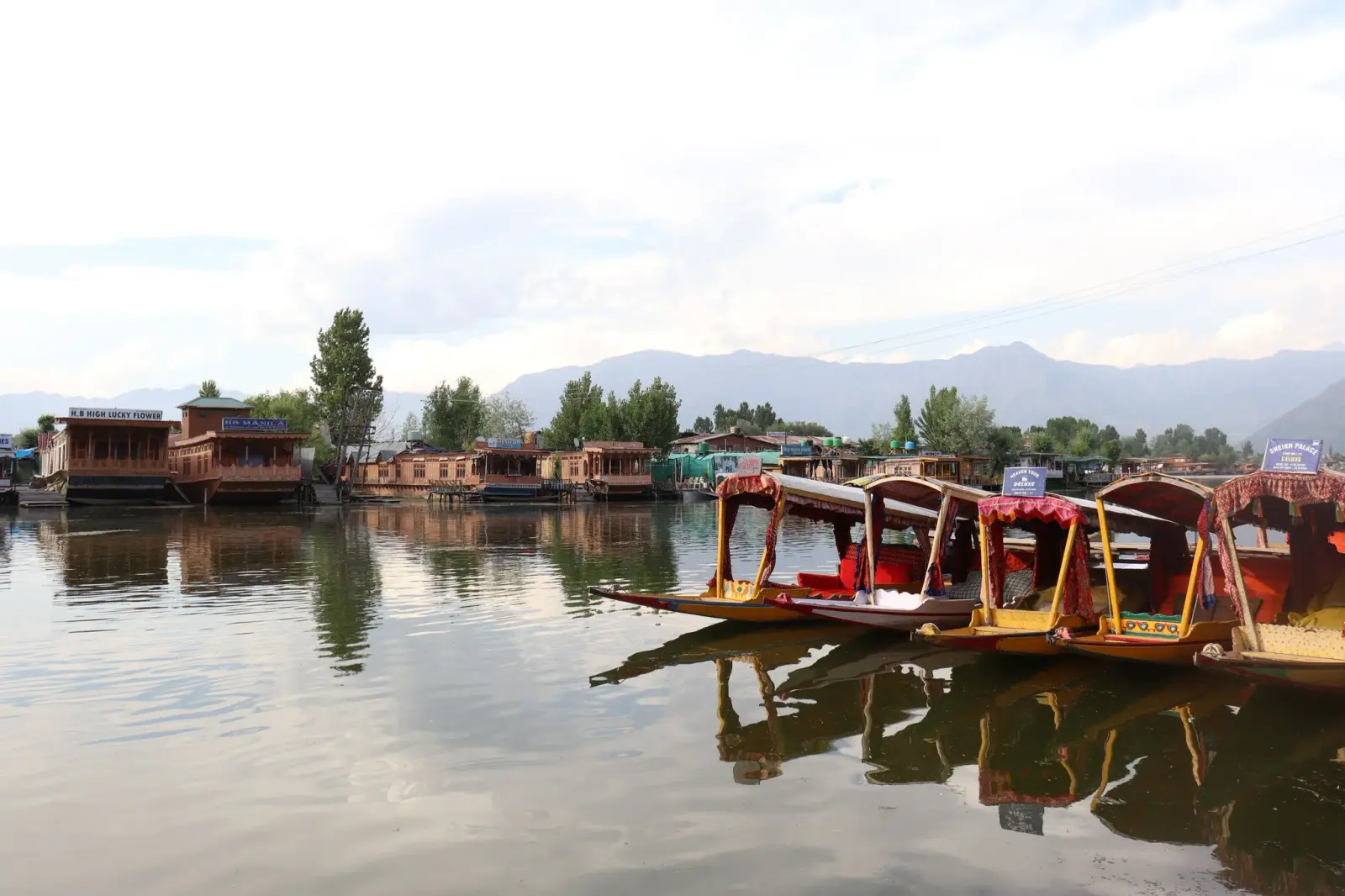 Colourful shikara boats moored on the still water of Dal Lake in Srinagar, with houseboats and green hills behind