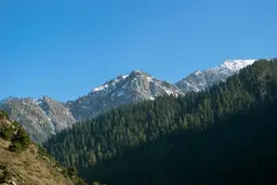 Kashmir in Late July 2027: What the Valley Looks Like When Peak Season Arrives
