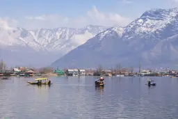 Booking a Kashmir Hotel: A Local Team or a National OTA? An Honest Comparison