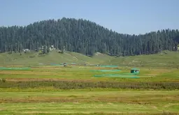 Gulmarg in Summer 2027: Is It Worth Visiting Without Snow?