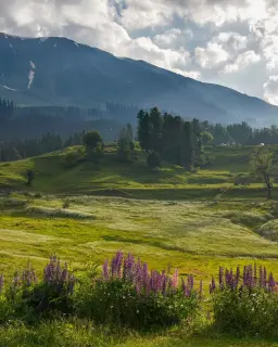 Kashmir for First-Time Visitors in August 2027: What to Book, Expect, and Not Miss