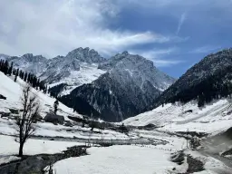 A 10-Day Kashmir and Ladakh Itinerary: Combining Both in One Trip