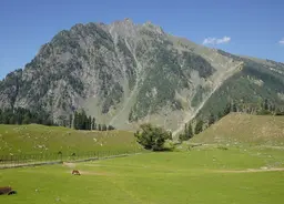 Kashmir Packing List July 2027: What Locals Actually Tell You to Bring