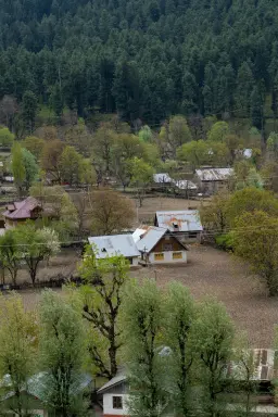 Kashmiri Bhand Pather: The Folk Theater That Laughed at Kings