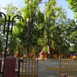 Kheer Bhawani Temple: The Colour-Changing Sacred Spring of Kashmir