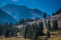 Pahalgam: Where the River Meets the Mountains