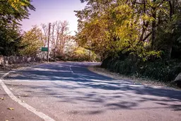 Srinagar to Gulmarg Drive: The Stops Worth Making on the 56km Road