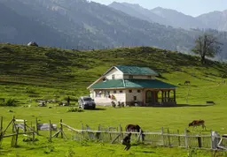 Vishansar and Kishansar Lakes: The 3-Day Trek from Sonamarg into the Great Lakes Country