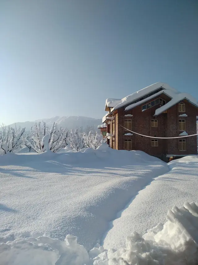 Gulmarg Meadow Stay 3N4D - Three Nights in Gulmarg with Gondola
