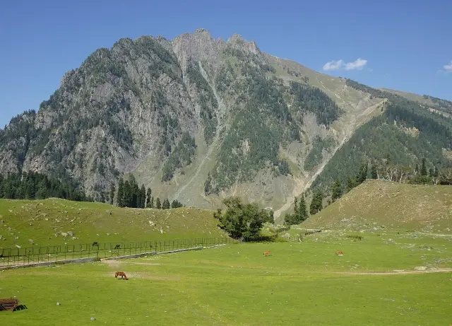 Kashmir 5N6D Relaxing Holiday - Gondola & Sonamarg