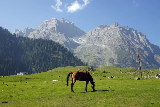 Srinagar, Gulmarg & Sonamarg 4N5D