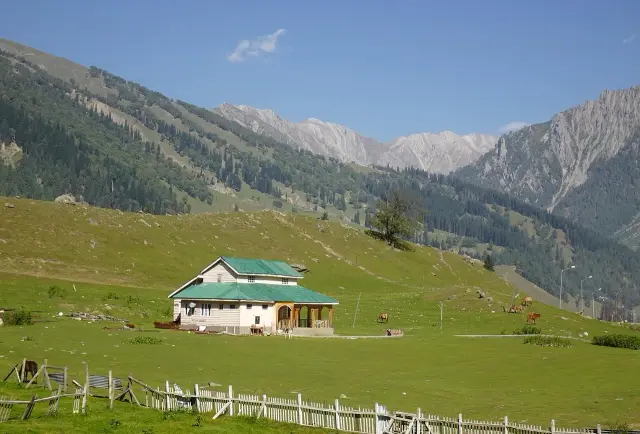 Kashmir 5N6D - Sonamarg & Gulmarg Stays, Pahalgam Trip