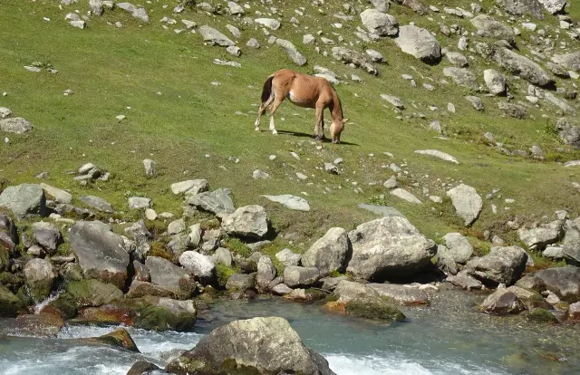 Kashmir 9N10D Grand Tour - Houseboat, 2N Sonamarg, 2N Gulmarg & 2N Pahalgam