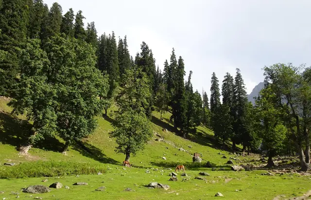 Kashmir Adventure Package - 6N7D
