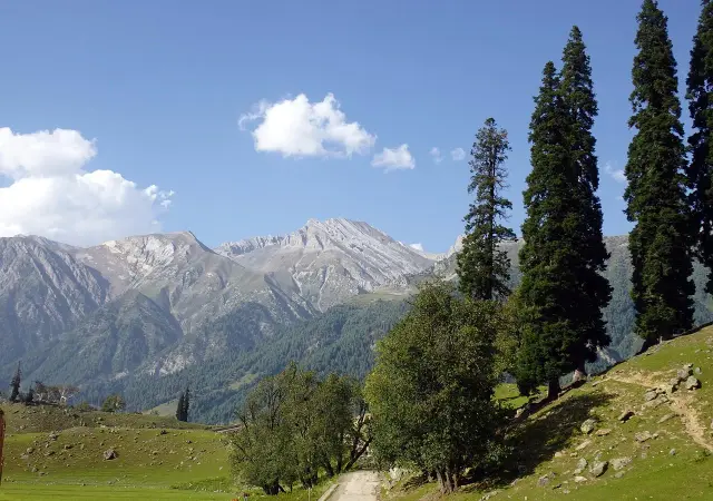 Relaxed Kashmir 5N6D - Gulmarg, 2N Pahalgam & Sonamarg Day Trip