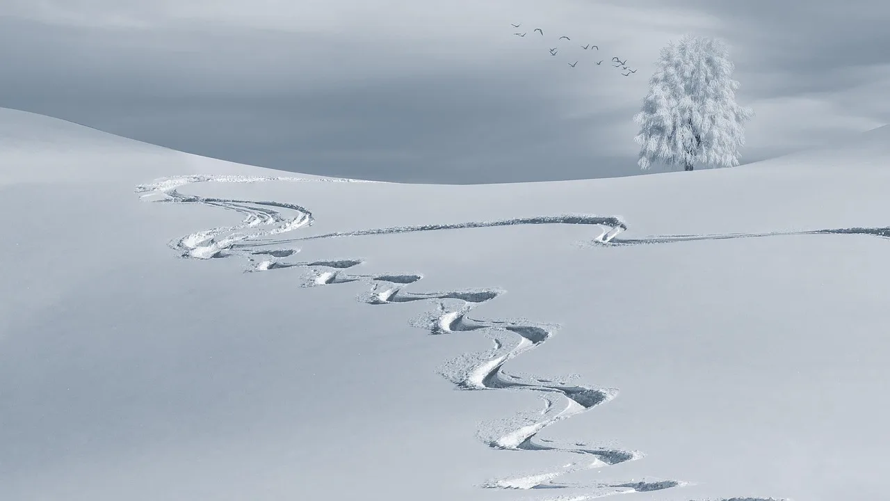 Ski Resort Shuttle