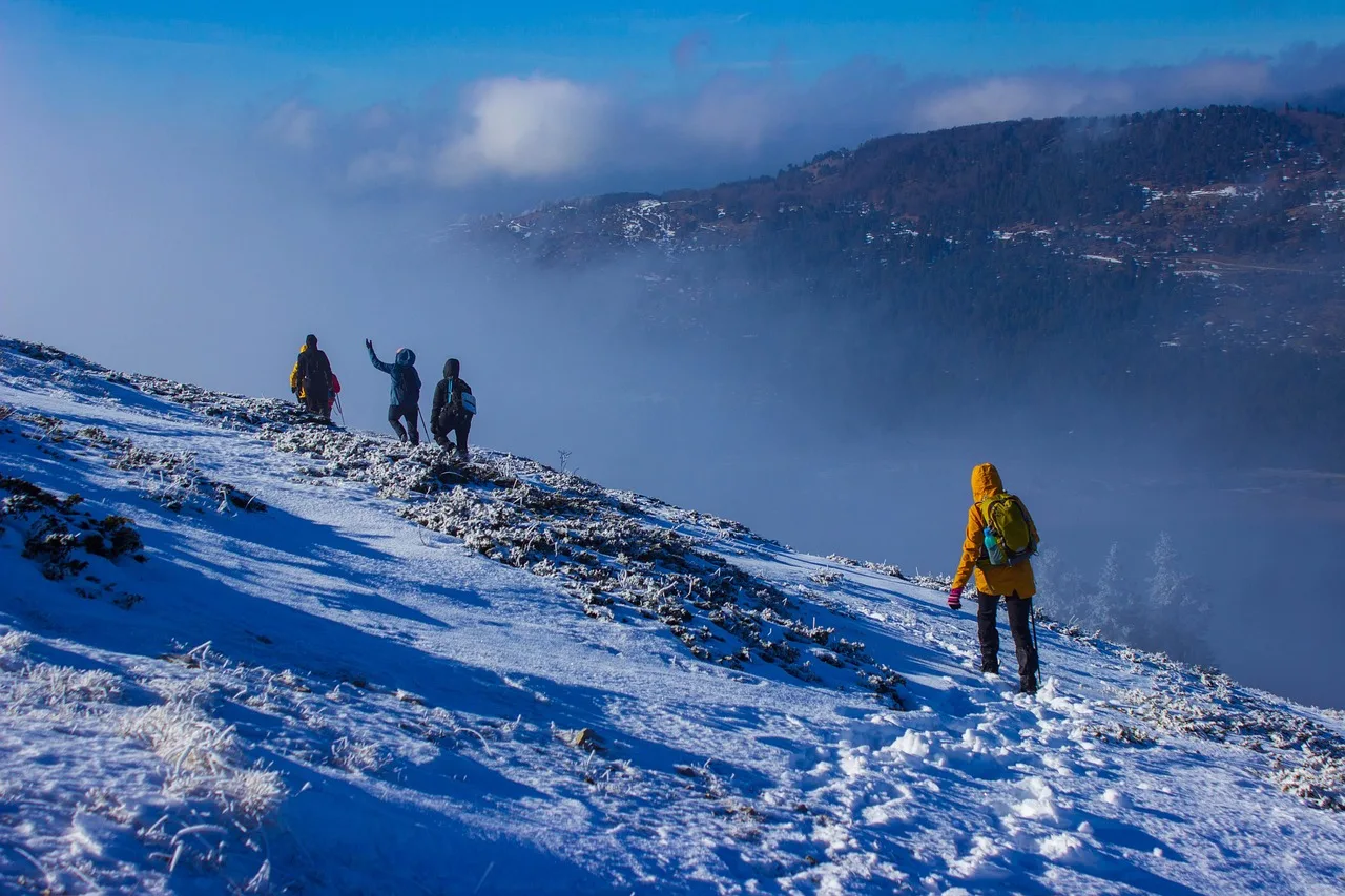 Solo Winter Kashmir - 6N7D