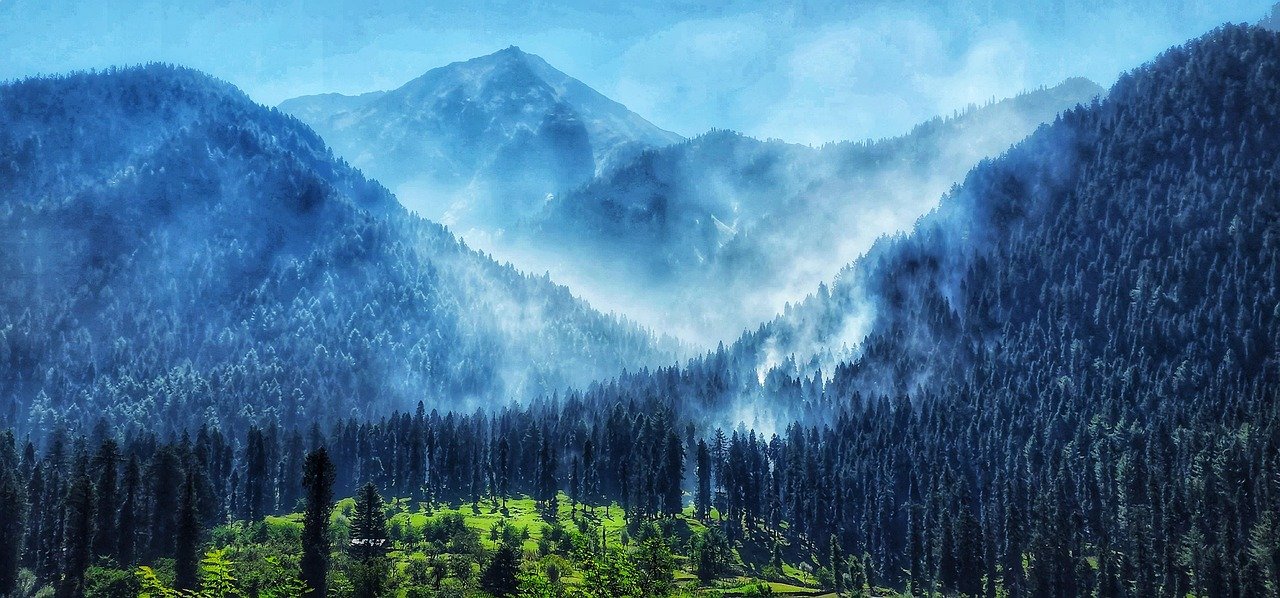 Char Chinar: The Four-Chinar Island at the Centre of Dal Lake and How to Get There by Shikara