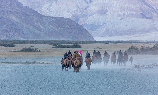 Nubra Valley: The Complete Guide to Ladakh's Sand Dune Valley
