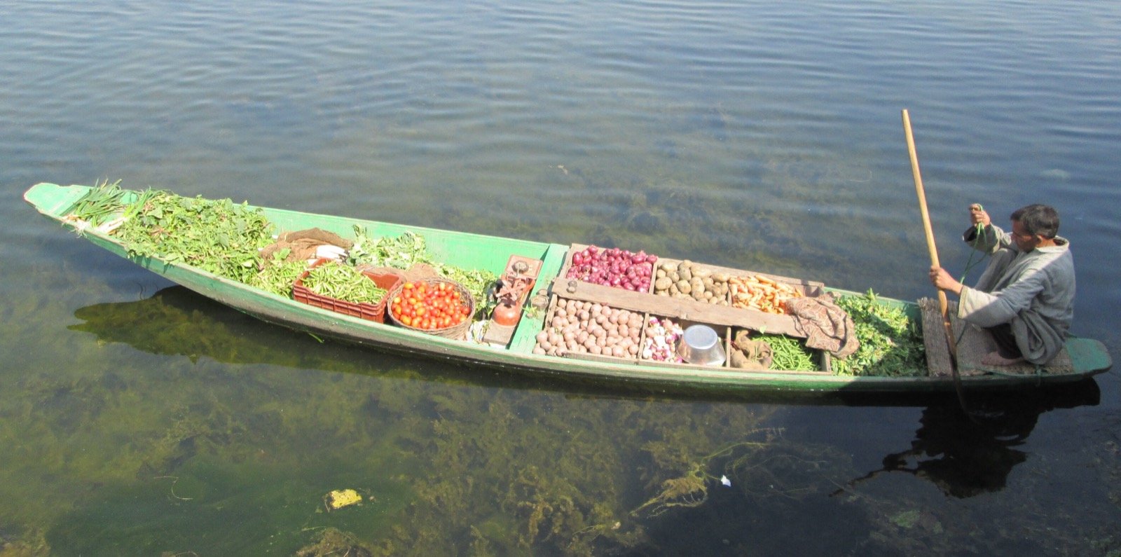 What's Growing in Kashmir in Late July: The Valley's Seasonal Produce and How Locals Cook It