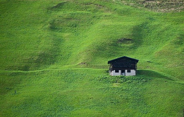 Harwan Garden, Srinagar: The Mountain Garden Above Dal Lake That Most Tourists Never Reach