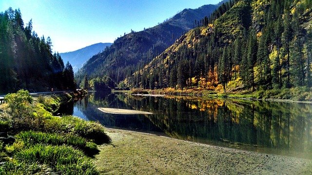 The Lidder River at Pahalgam photographed from the eastern bank path at approximately 7:30am in July -- clear green-grey glacial meltwater running fast over rounded stones in the foreground, old willow trees overhanging the bank, the Pir Panjal ridge visible above the valley wall in the background, no other walkers visible on the path, morning light on the water surface
