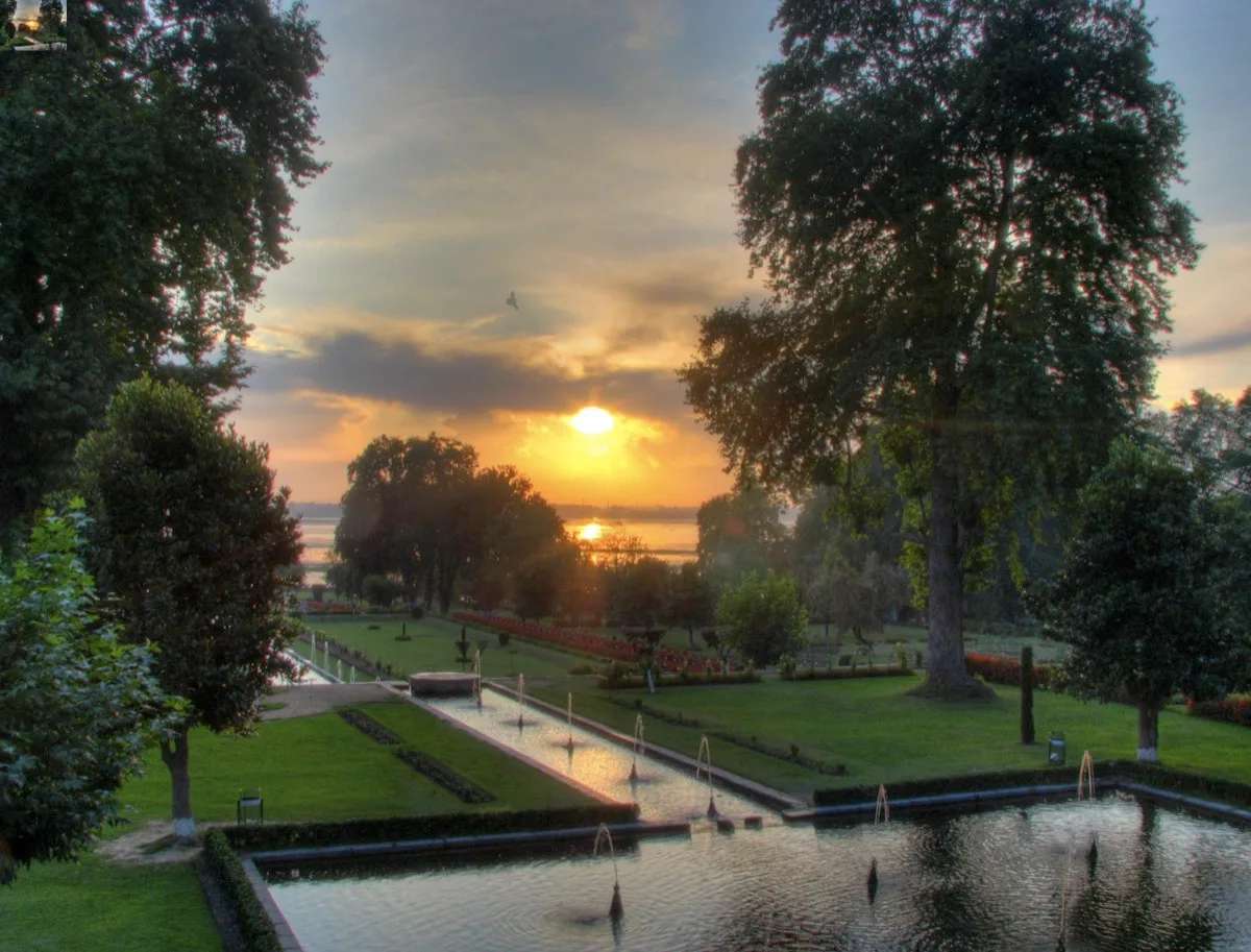 Nishat Bagh in early morning summer light -- the main water channel running the full length of the garden from the Zabarwan hills at the top of frame to the Dal Lake shore at the bottom, the twelve terraces stepping down on either side of the channel, chinar trees at full summer canopy overhanging the upper terraces, the channel water catching morning light, no visitors present, the lake and the Pir Panjal range visible in the far background