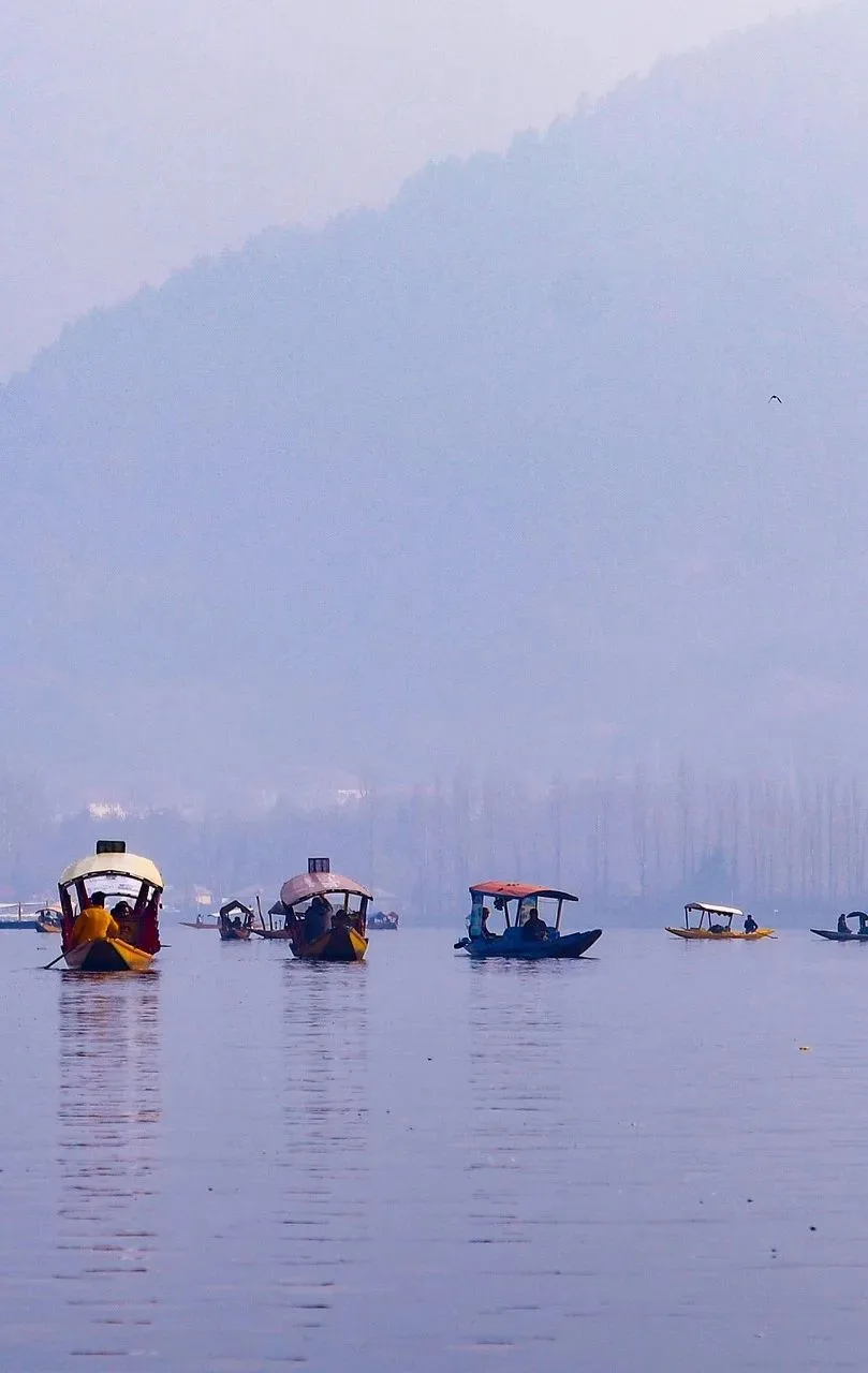 Shikaras on Dal Lake in the morning mist, Srinagar