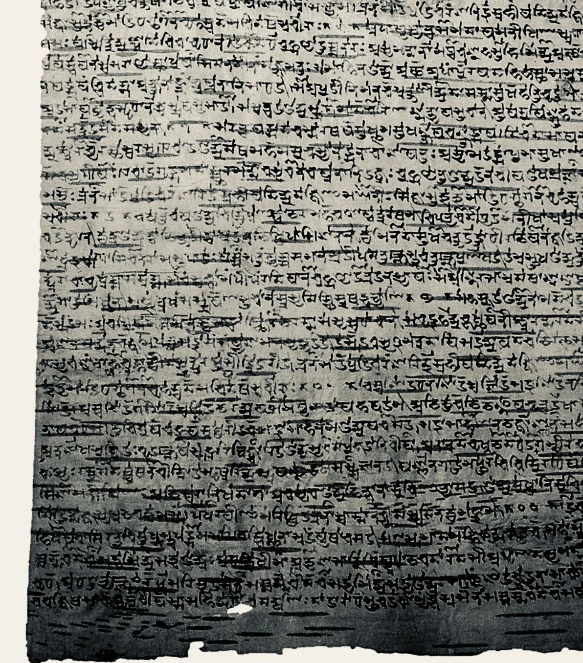 Kashmiri manuscript leaf written in the Sharada script