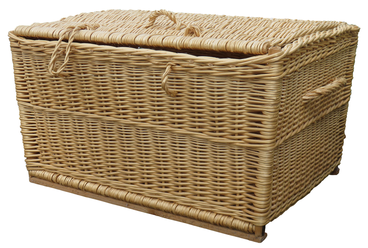 Kashmiri Willow Wicker: The Craft Behind Kashmir's Cricket Bats and Reed Baskets
