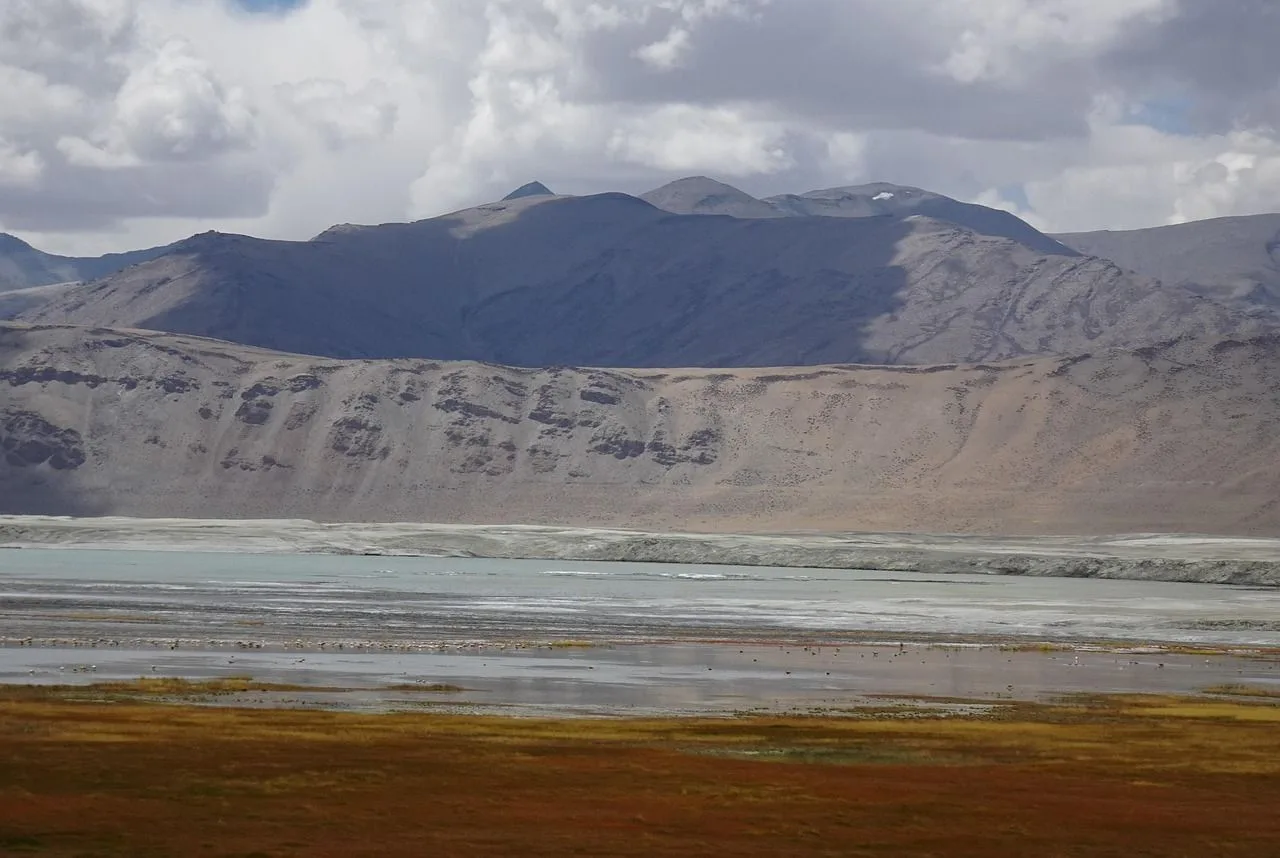 The pale shore and salt-rimmed water of Tso Kar below rounded hills, Ladakh