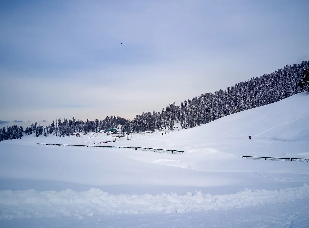 Kashmir 6N7D Trip - Srinagar, Gulmarg, Pahalgam & Sonamarg