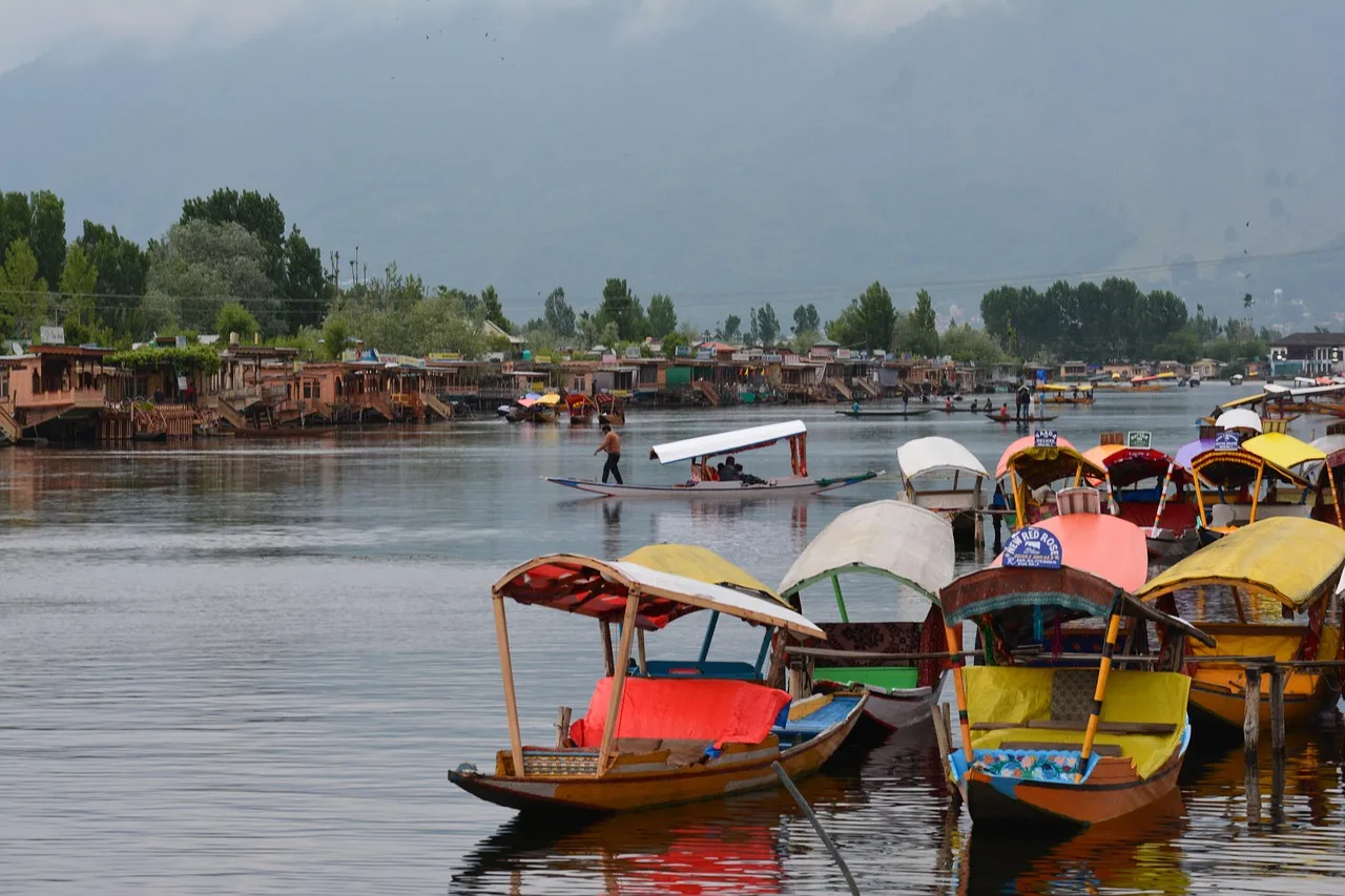 Wake up on Dal Lake