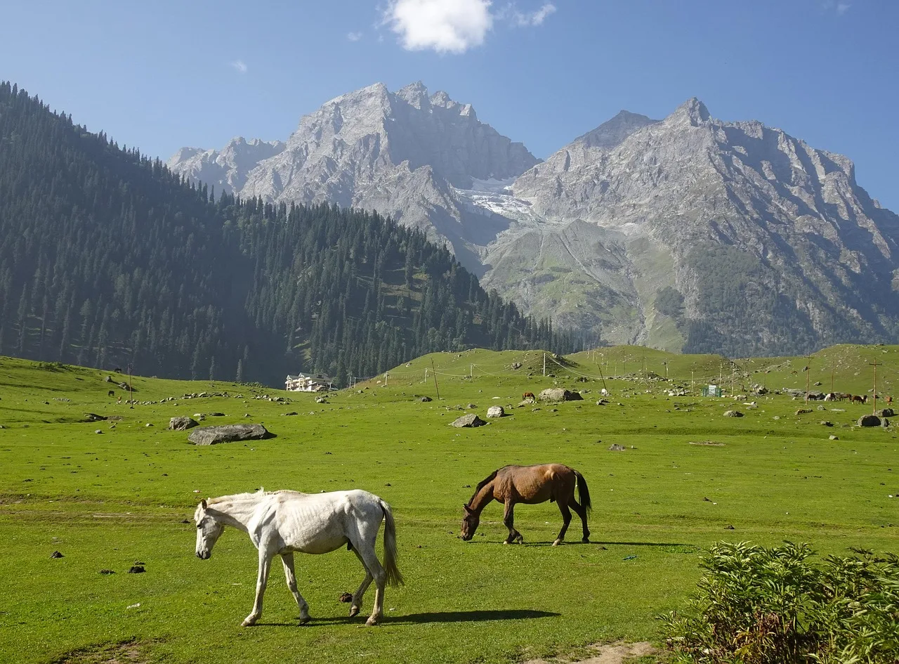 Spectacular Kashmir Vacay with Sonamarg